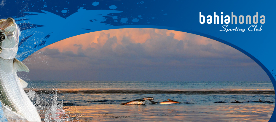 Bahiahonda Fish