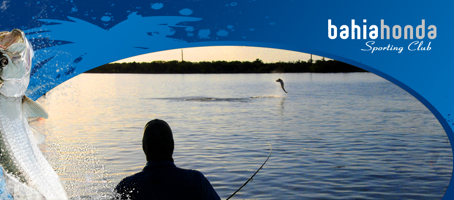 Bahiahonda Fish